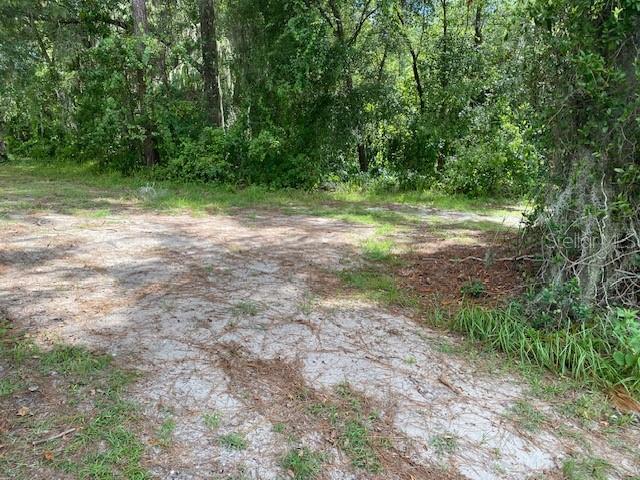 0 Th DeLand, FL 32724 - Photo 6 of 8 a view of a yard with a tree