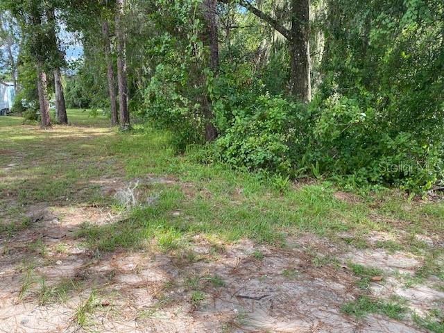 0 Th DeLand, FL 32724 - Photo 8 of 8 a big yard with lots of green space and deers