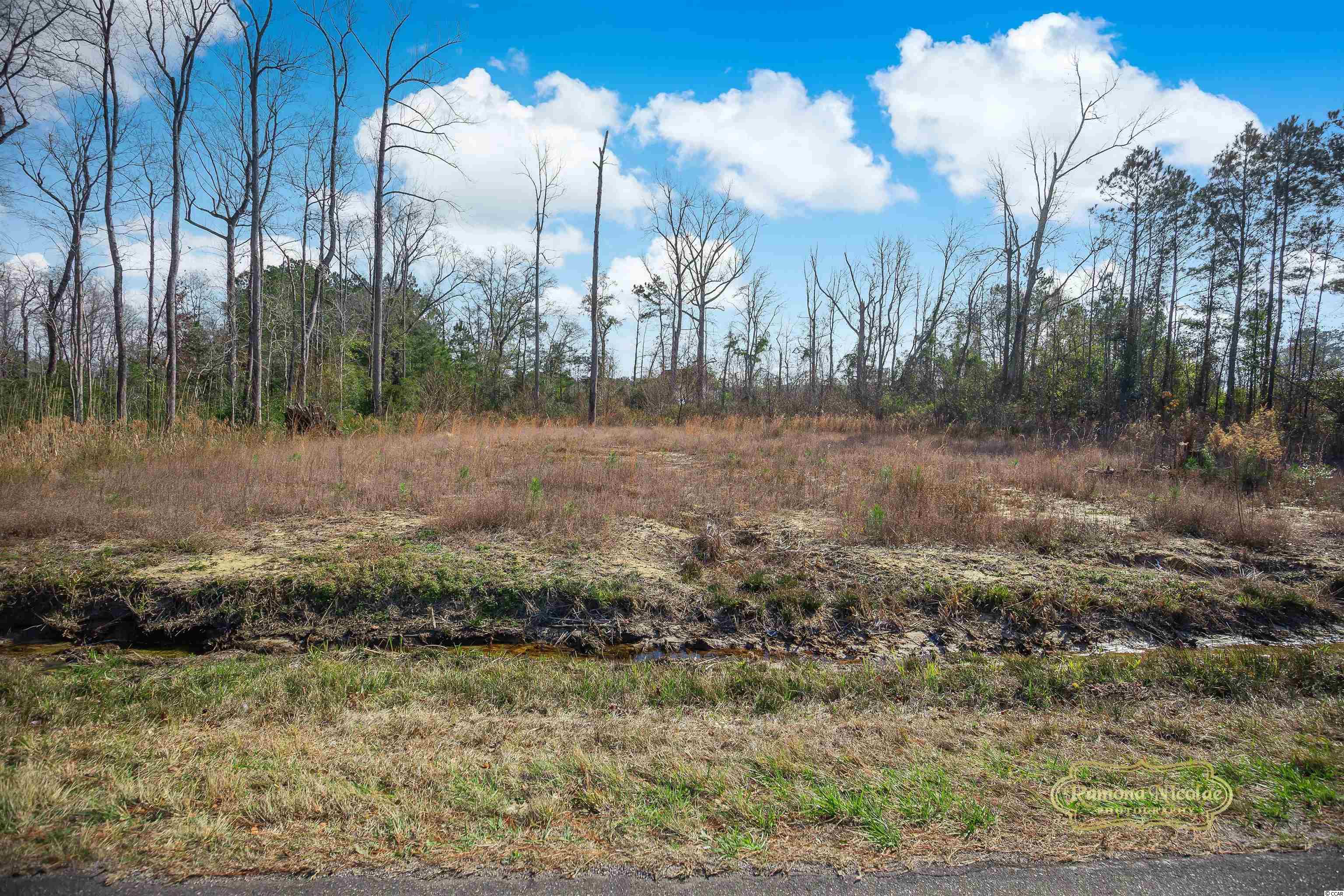 4306 Highway 66 Loris, SC 29569 - Photo 1 of 16 Gallery Image 1