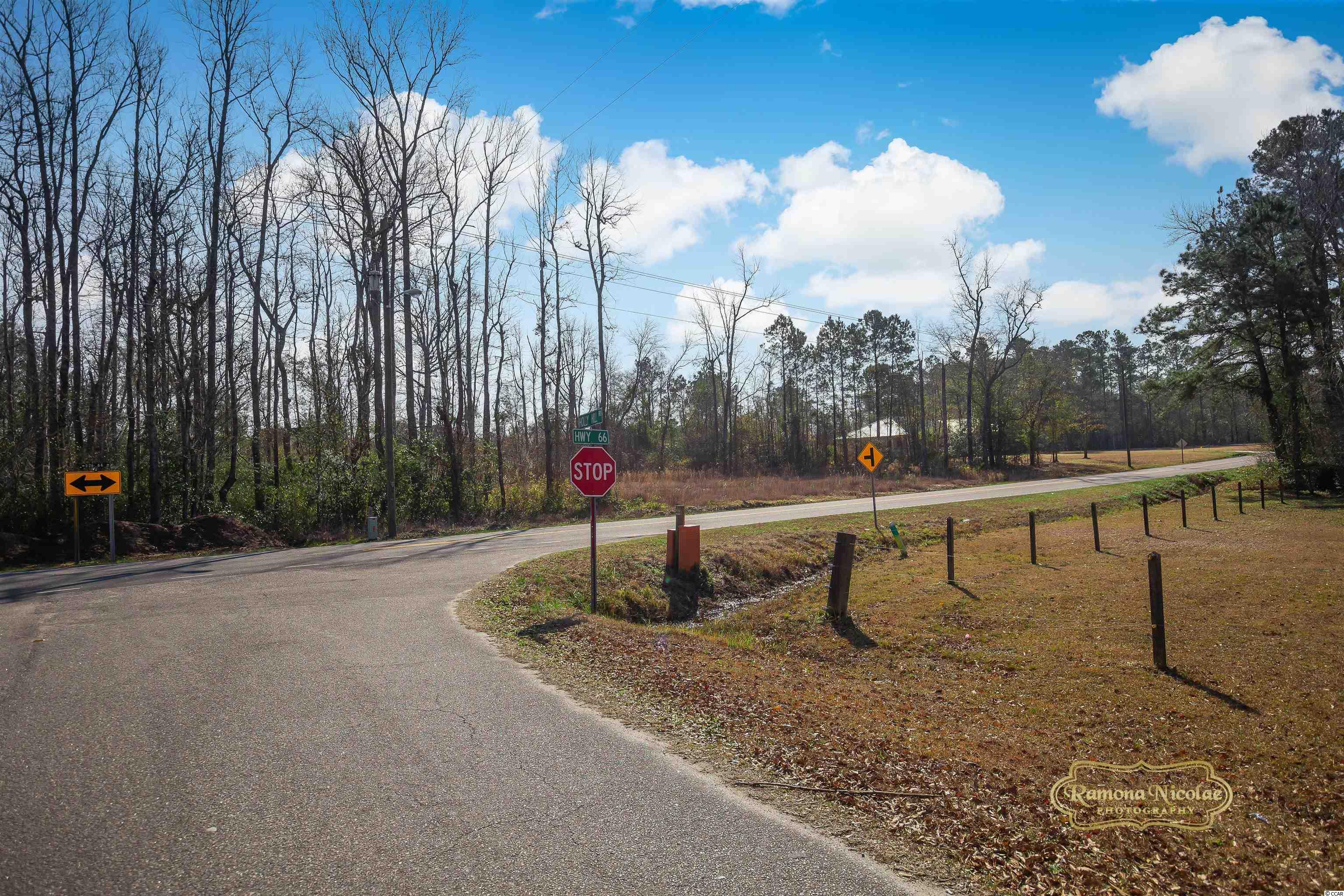 4306 Highway 66 Loris, SC 29569 - Photo 15 of 16 Gallery Image 15