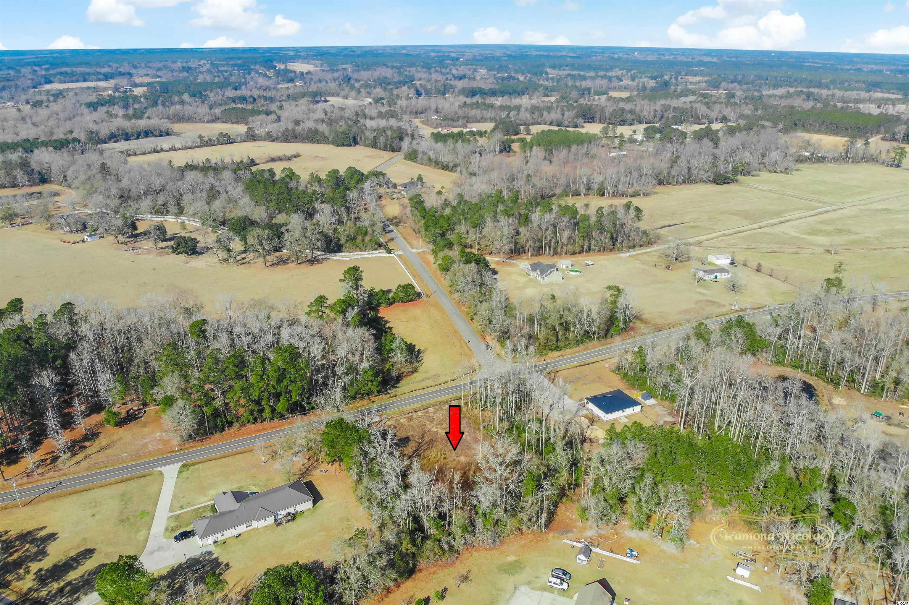 4306 Highway 66 Loris, SC 29569 - Photo 3 of 16 Gallery Image 3