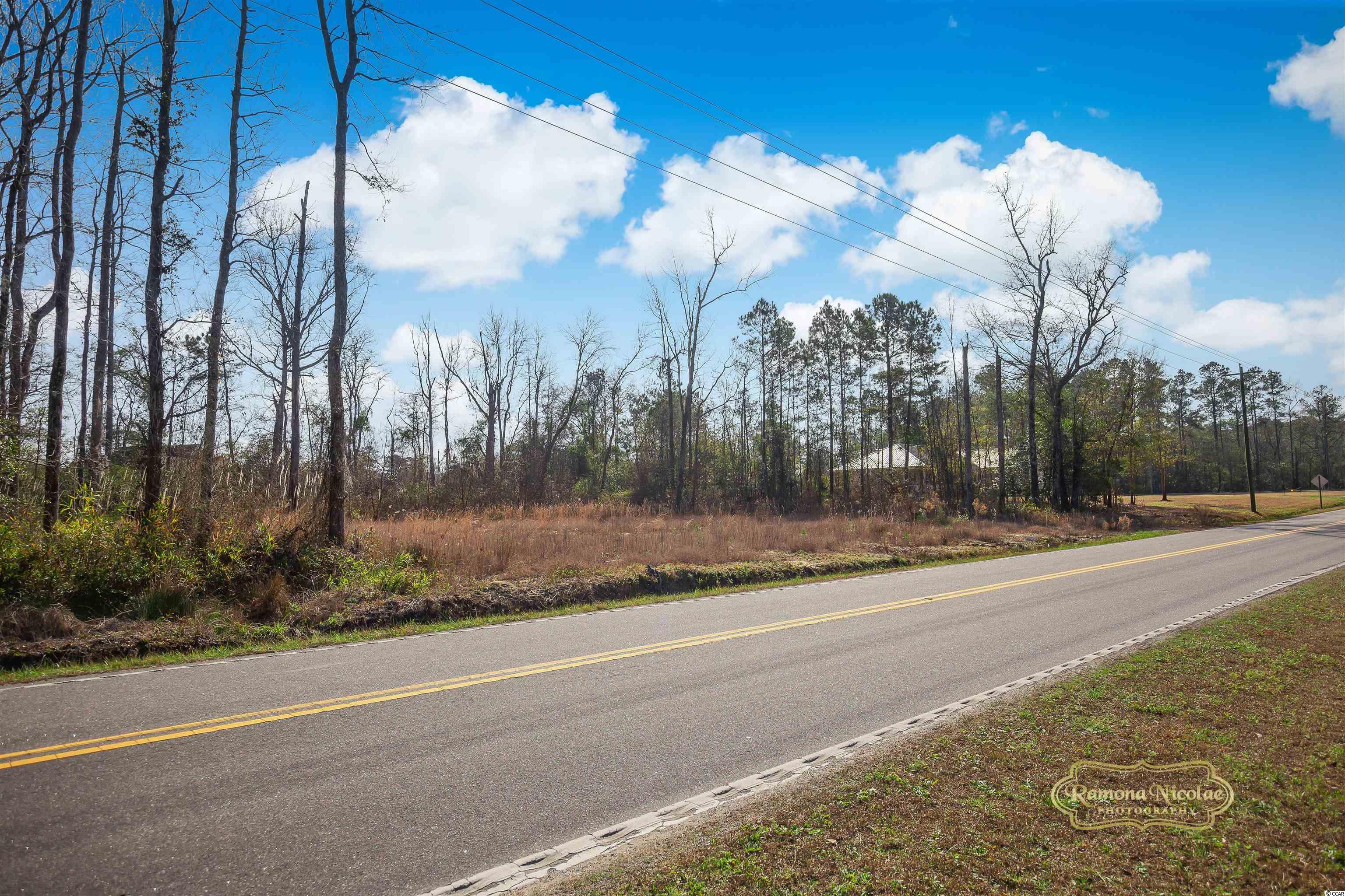 4306 Highway 66 Loris, SC 29569 - Photo 5 of 16 Gallery Image 5