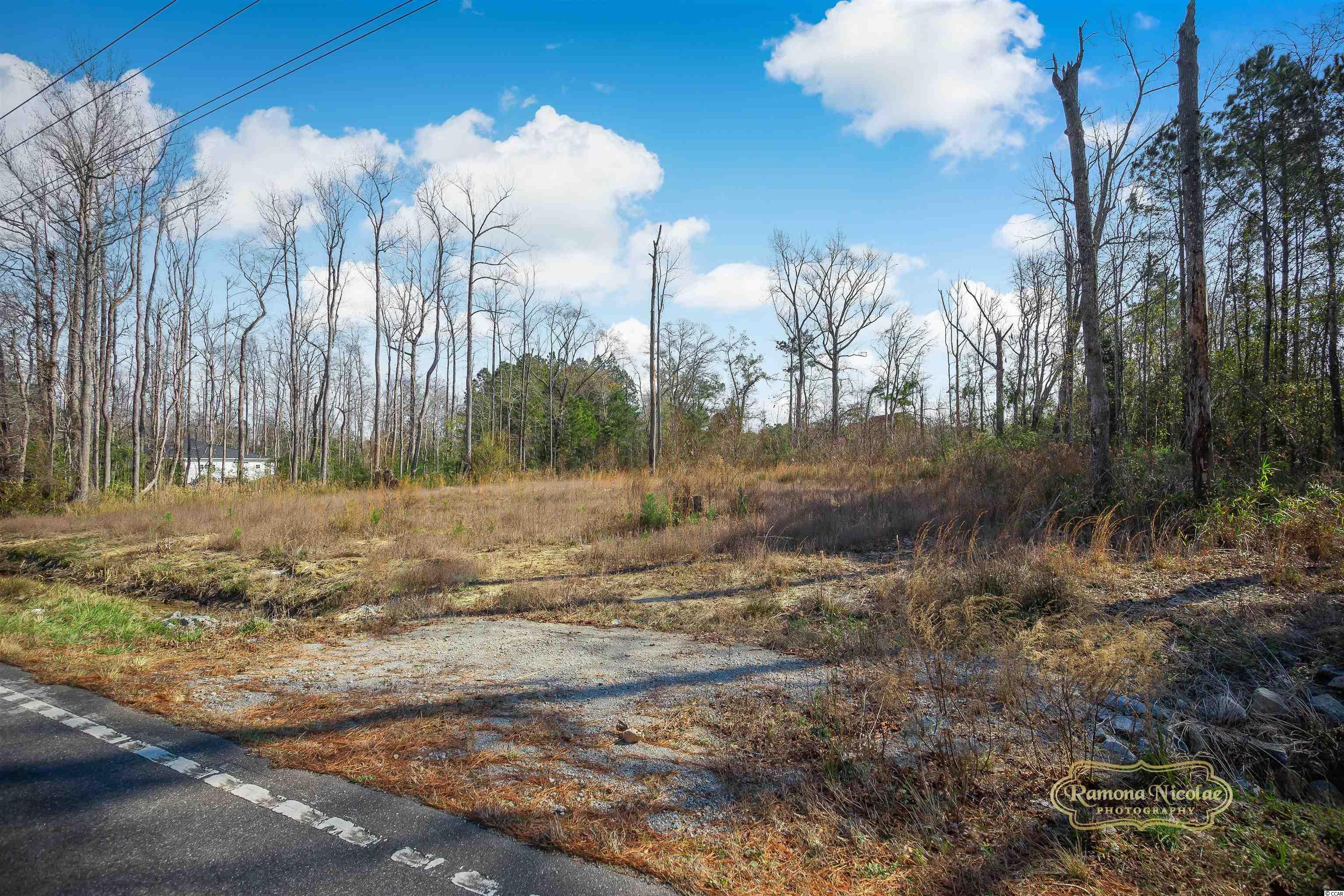 4306 Highway 66 Loris, SC 29569 - Photo 6 of 16 Gallery Image 6