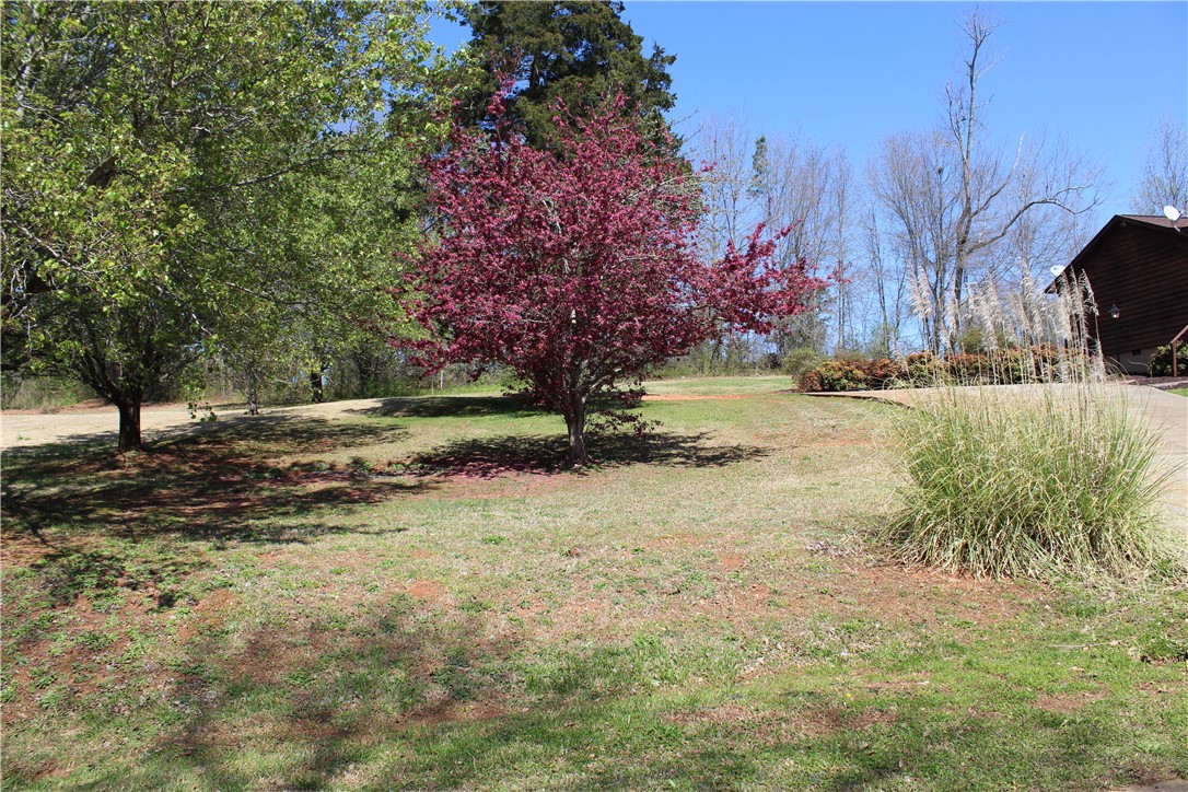 121 Maida Watkins Road Westminster, SC 29693 - Photo 11 of 40 Gallery Image 11