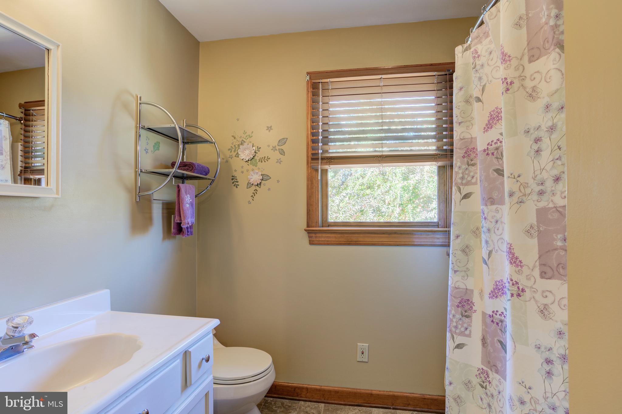 12117 Salem Church Road King George, VA 22485 - Photo 23 of 34 a bathroom with a sink toilet and window