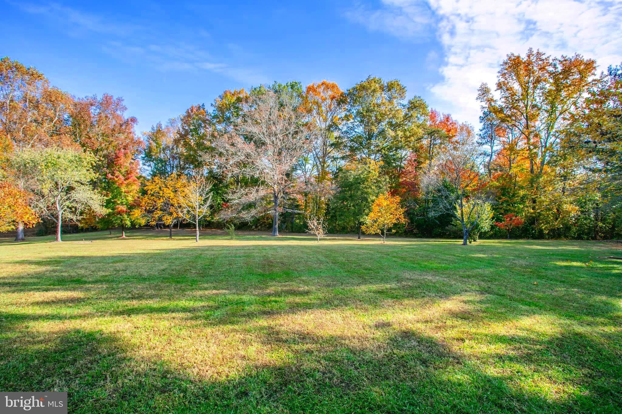 12117 Salem Church Road King George, VA 22485 - Photo 4 of 34 a view of a park with large trees