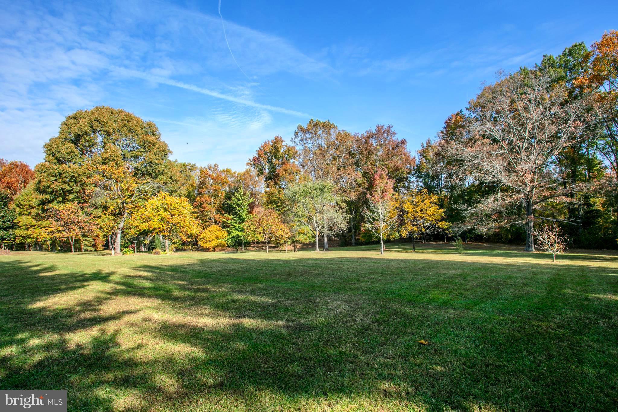 12117 Salem Church Road King George, VA 22485 - Photo 5 of 34 a view of a field with trees in the background