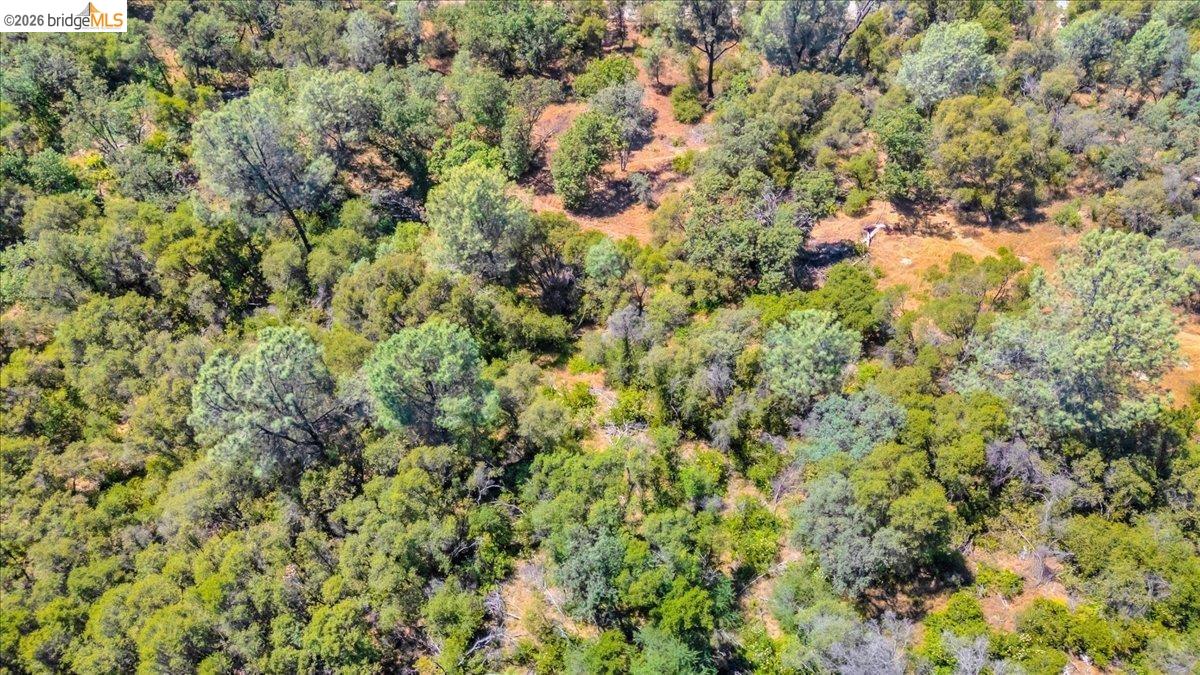 14275 Tuolumne Road Sonora, CA 95370 - Photo 19 of 22