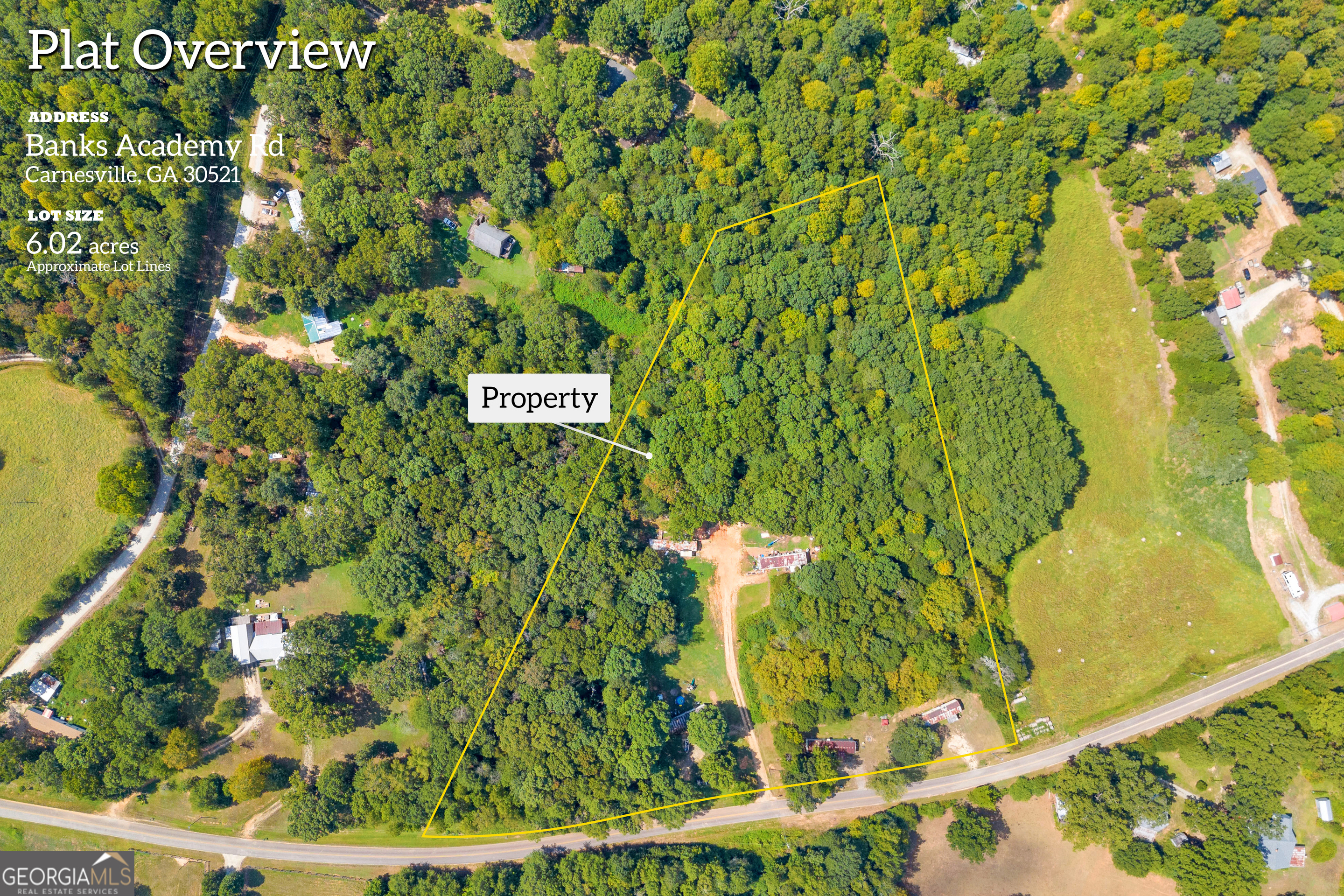 0 Banks Academy Road Carnesville, GA 30521 - Photo 1 of 1 a close up of a plant