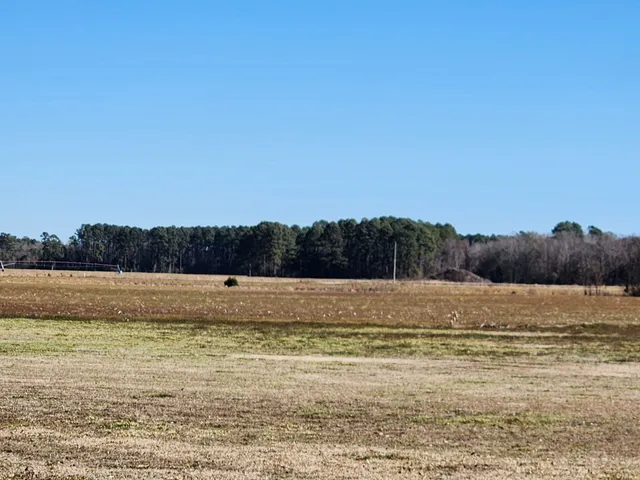 $975,000 | 9851 Charleston Highway, St. George, SC 29477