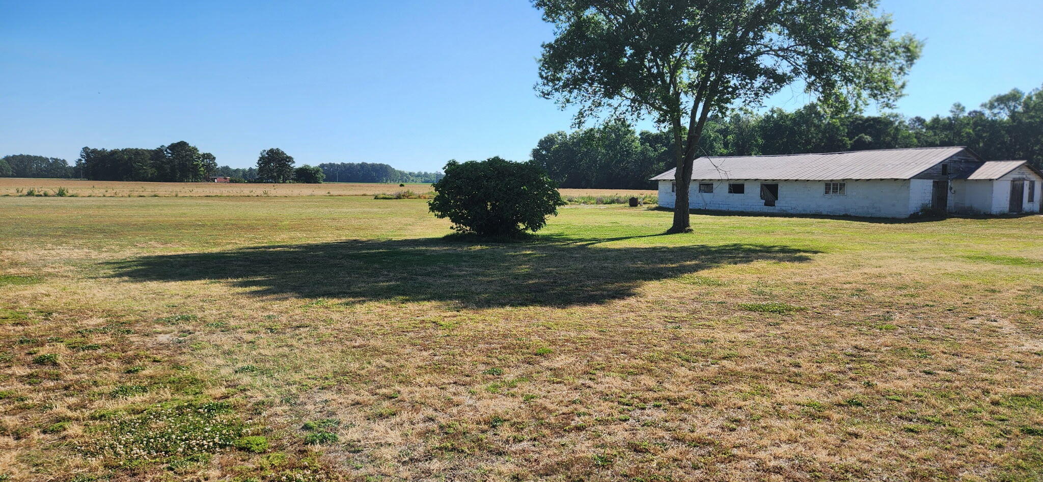 9851 Charleston Highway St. George, SC 29477 - Photo 14 of 32 1000011866