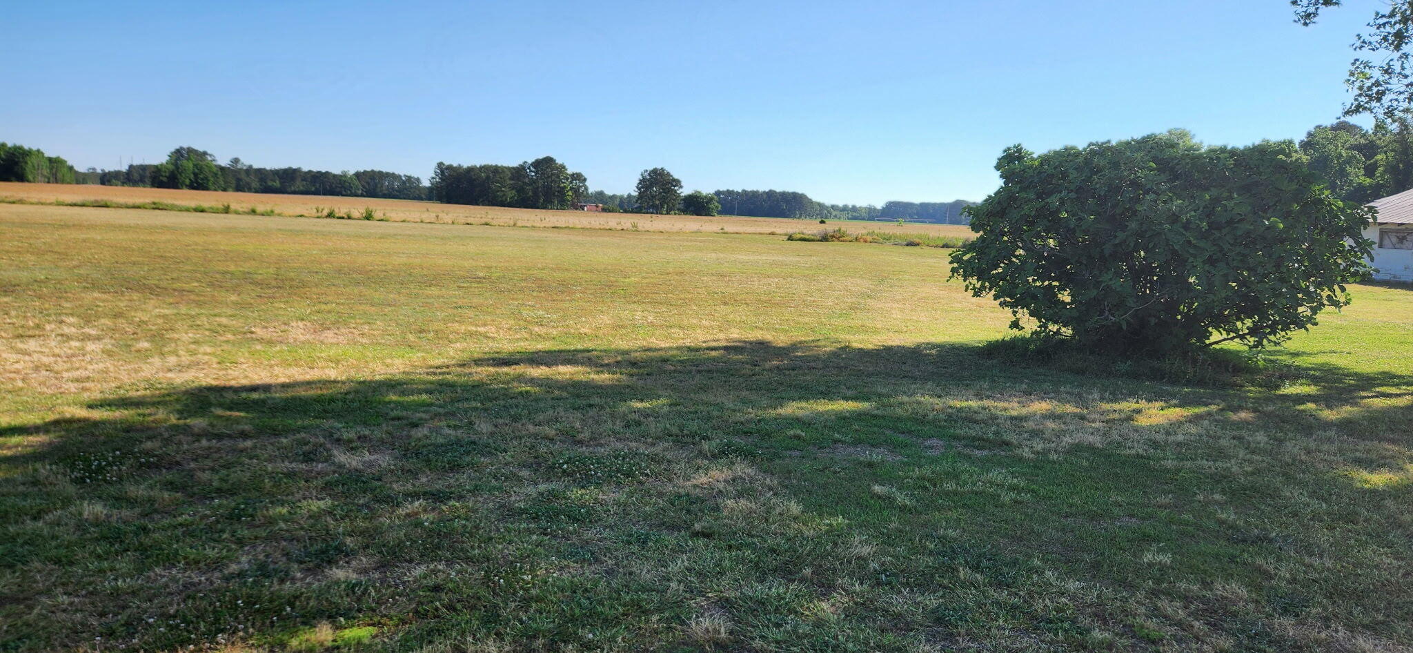 9851 Charleston Highway St. George, SC 29477 - Photo 15 of 32 1000011867