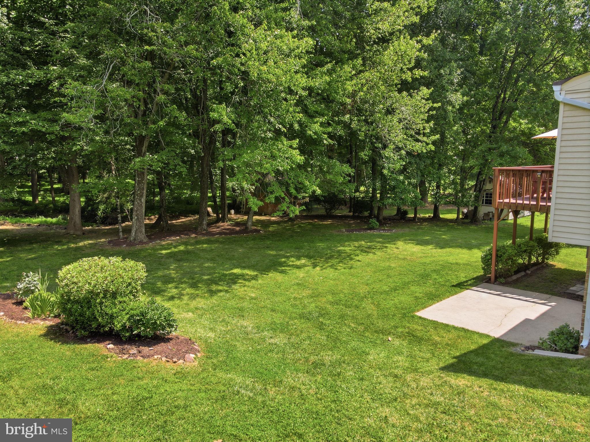 15005 Timberlake Drive Silver Spring, MD 20905 - Photo 26 of 36 Lush green oasis with serene woods.