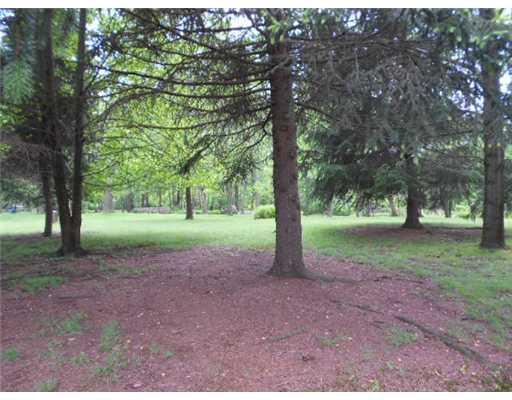 3125 Tuscarawas Road Beaver, PA 15009 - Photo 13 of 16 Yard/Garden.