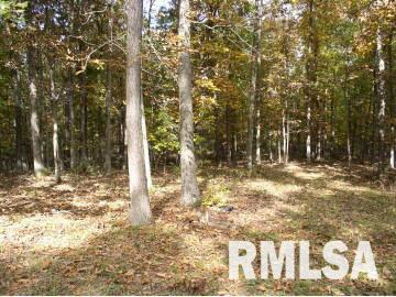15280 East Nolan Road Mount Vernon, IL 62864 - Photo 3 of 3 Gallery Image 3