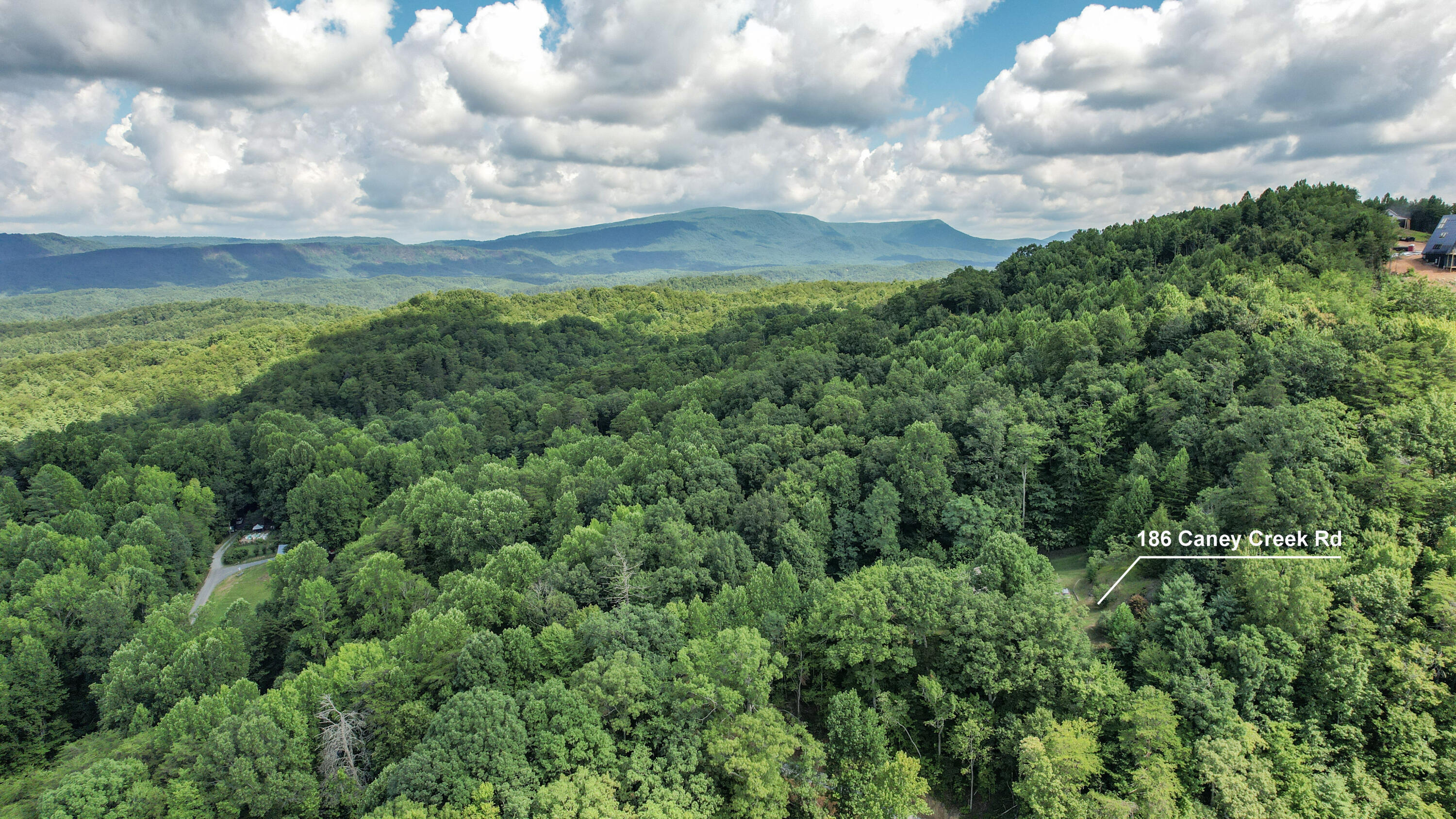 186 Caney Creek Road Reliance, TN 37369 - Photo 74 of 89 75-DJI_0013-Edit