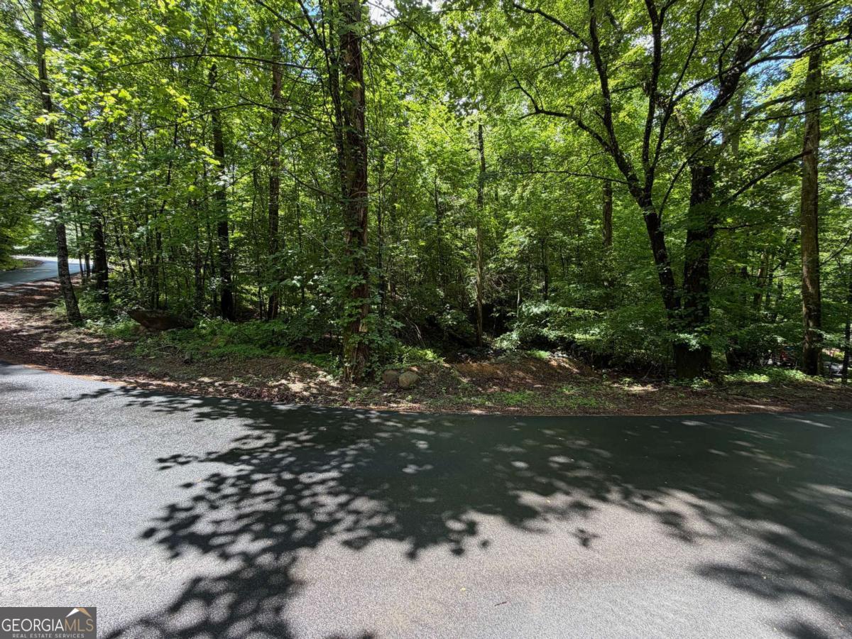 2.75-ac Quail Ridge Road Epworth, GA 30541 - Photo 10 of 12