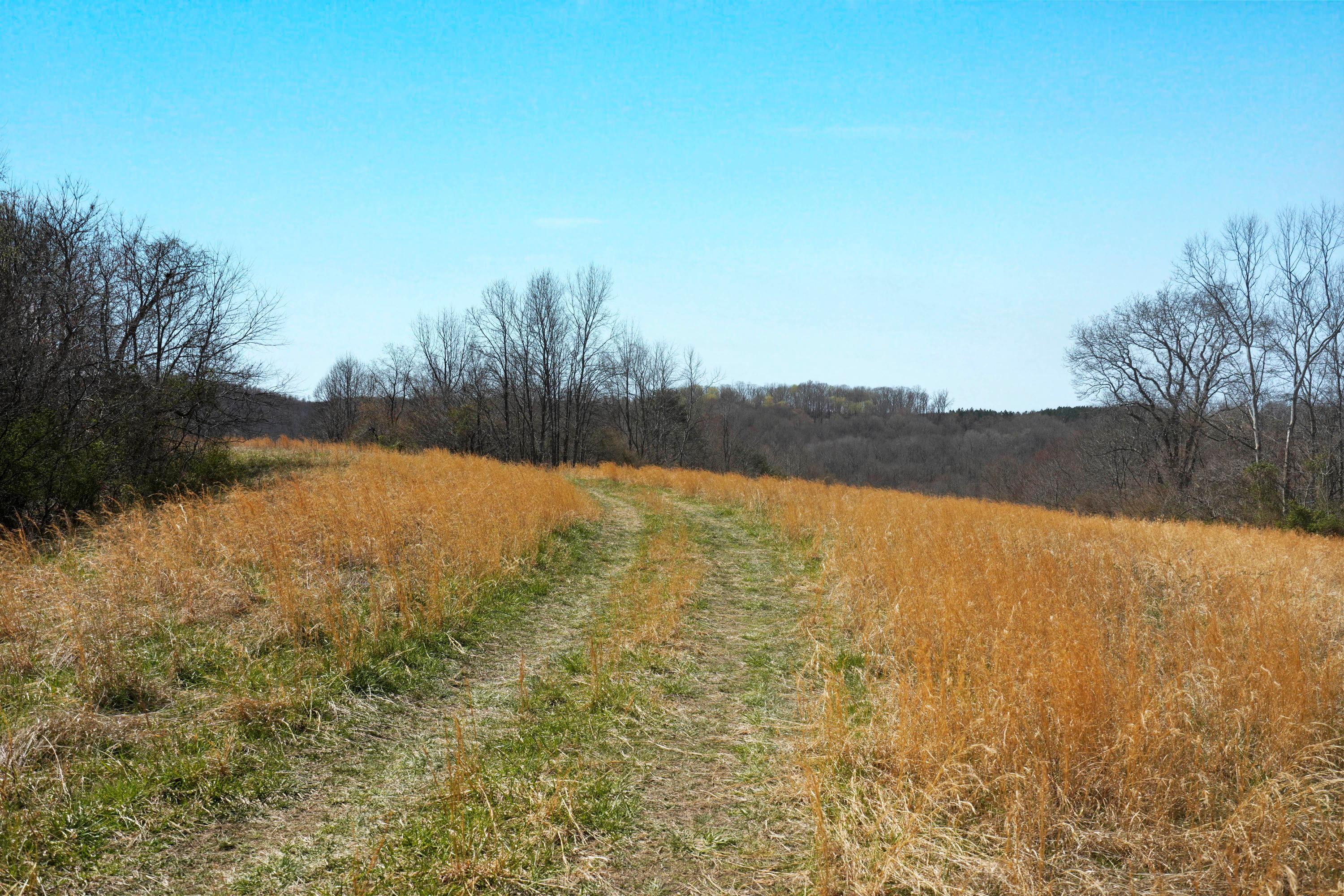45665 Covered Bridge Road Vinton, OH 45686 - Photo 72 of 105