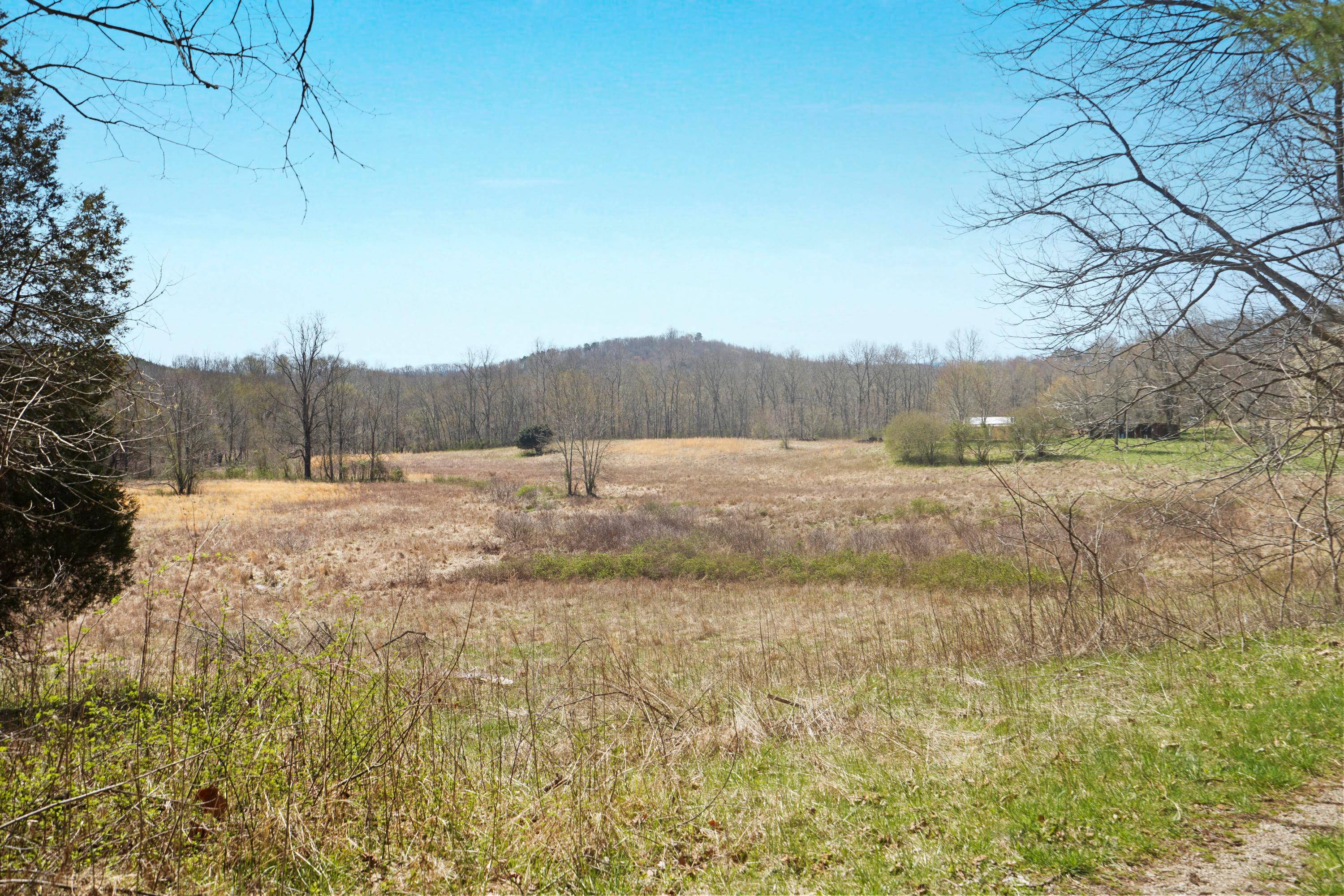 45665 Covered Bridge Road Vinton, OH 45686 - Photo 74 of 105