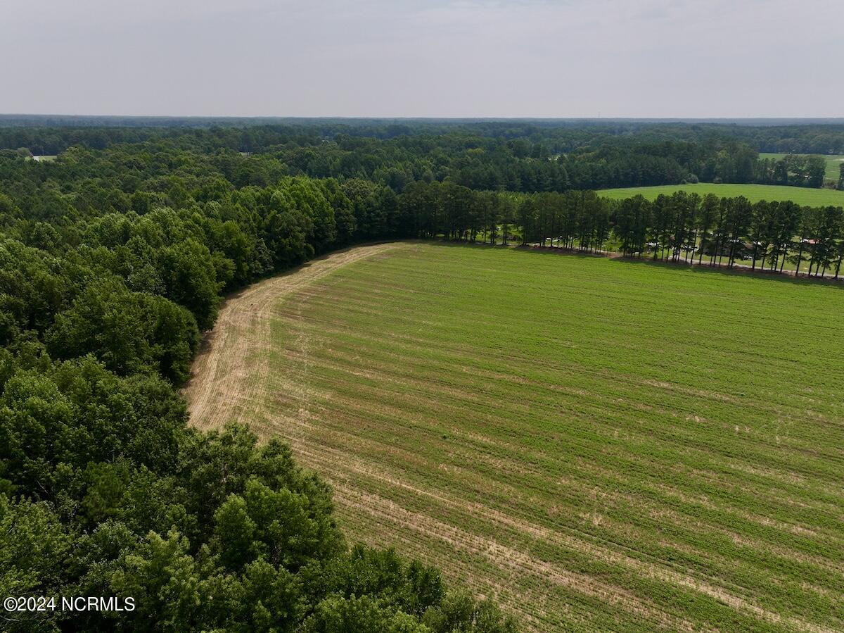 0 Woodruff Road Selma, NC 27576 - Photo 16 of 42 16