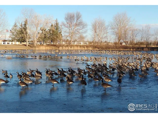 a black and white photo of a lake