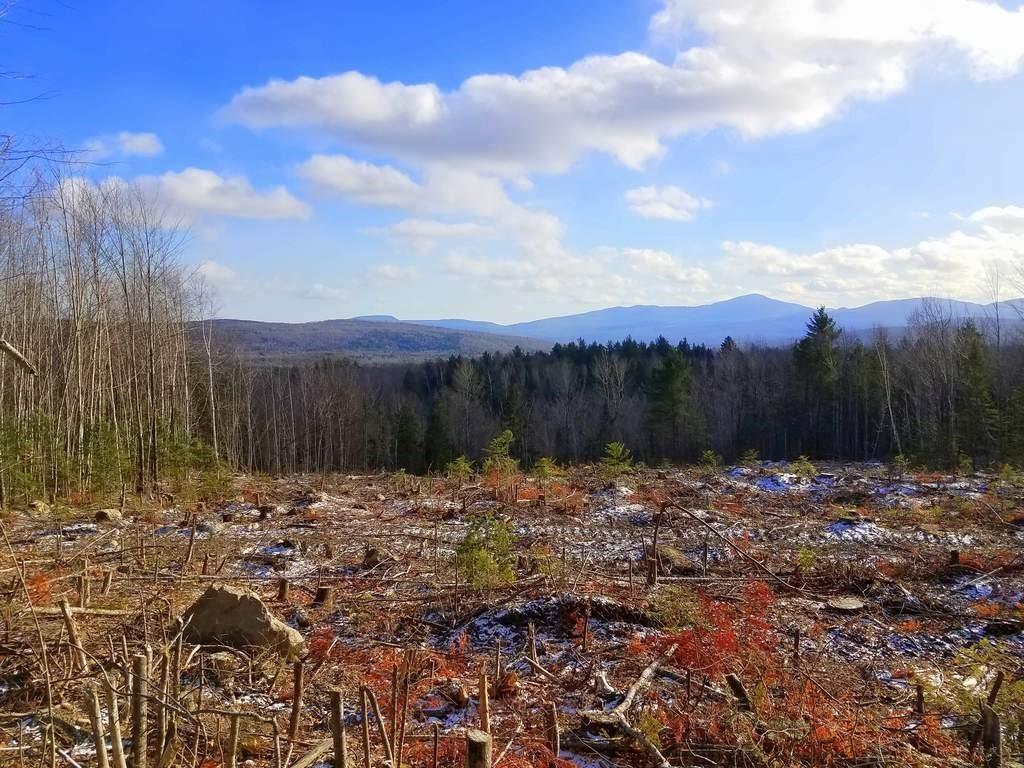Tbd Bray Hill Road Phillips, ME 04966 - Photo 2 of 3 Additional Photo