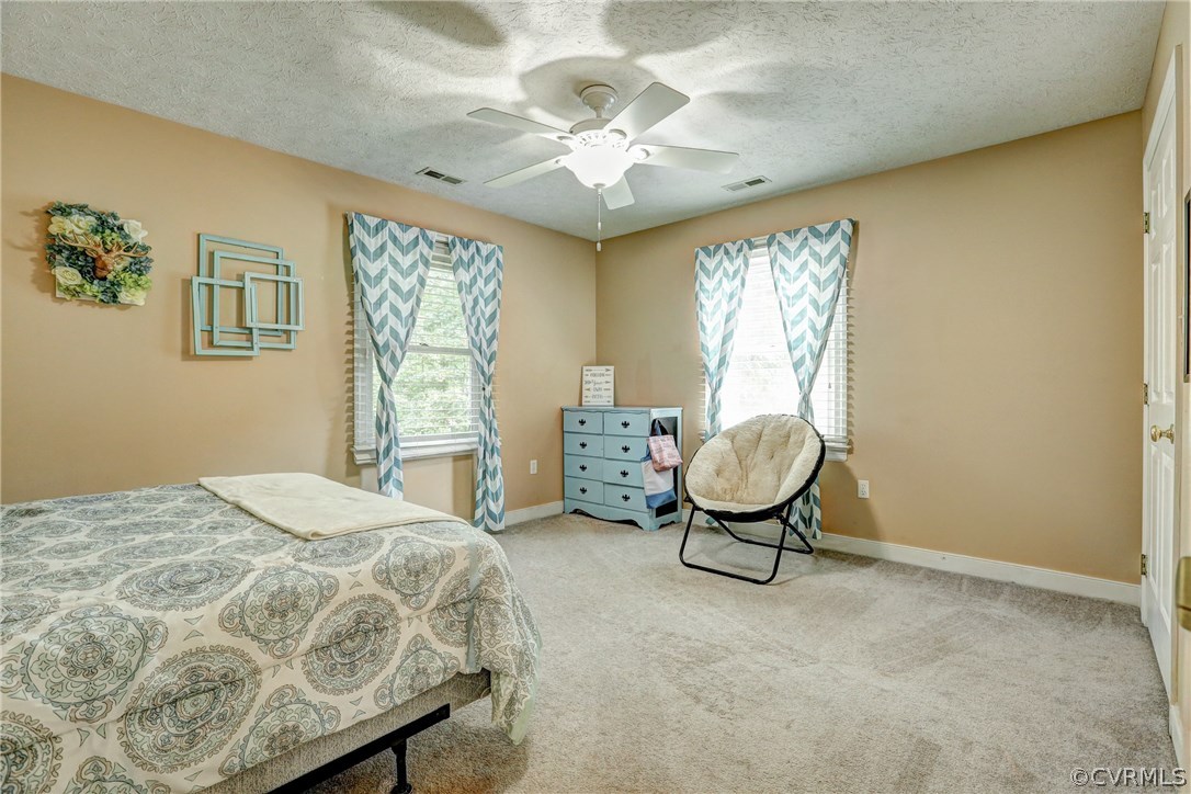 17253 Tulip Poplar Road Beaverdam, VA 23015 - Photo 25 of 36 Gallery Image 25