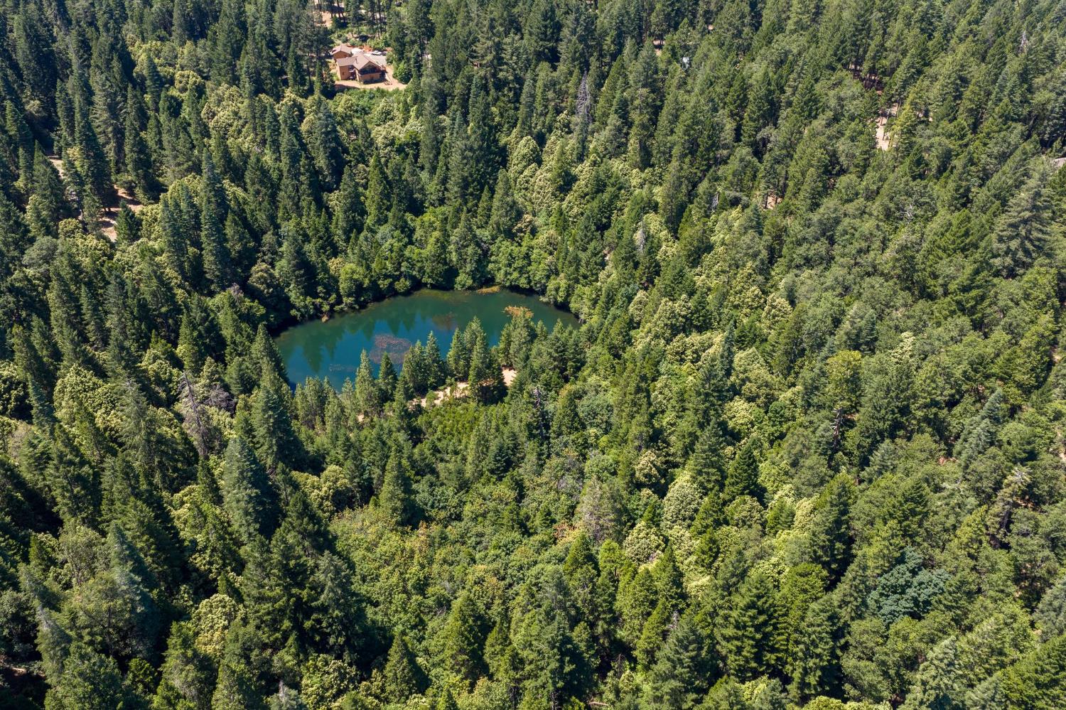 10075 White Fir Road Georgetown, CA 95634 - Photo 25 of 35