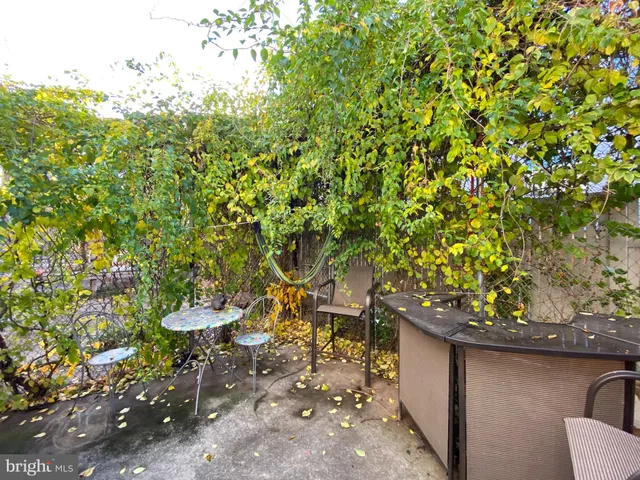 a view of backyard with table and chairs and potted plants