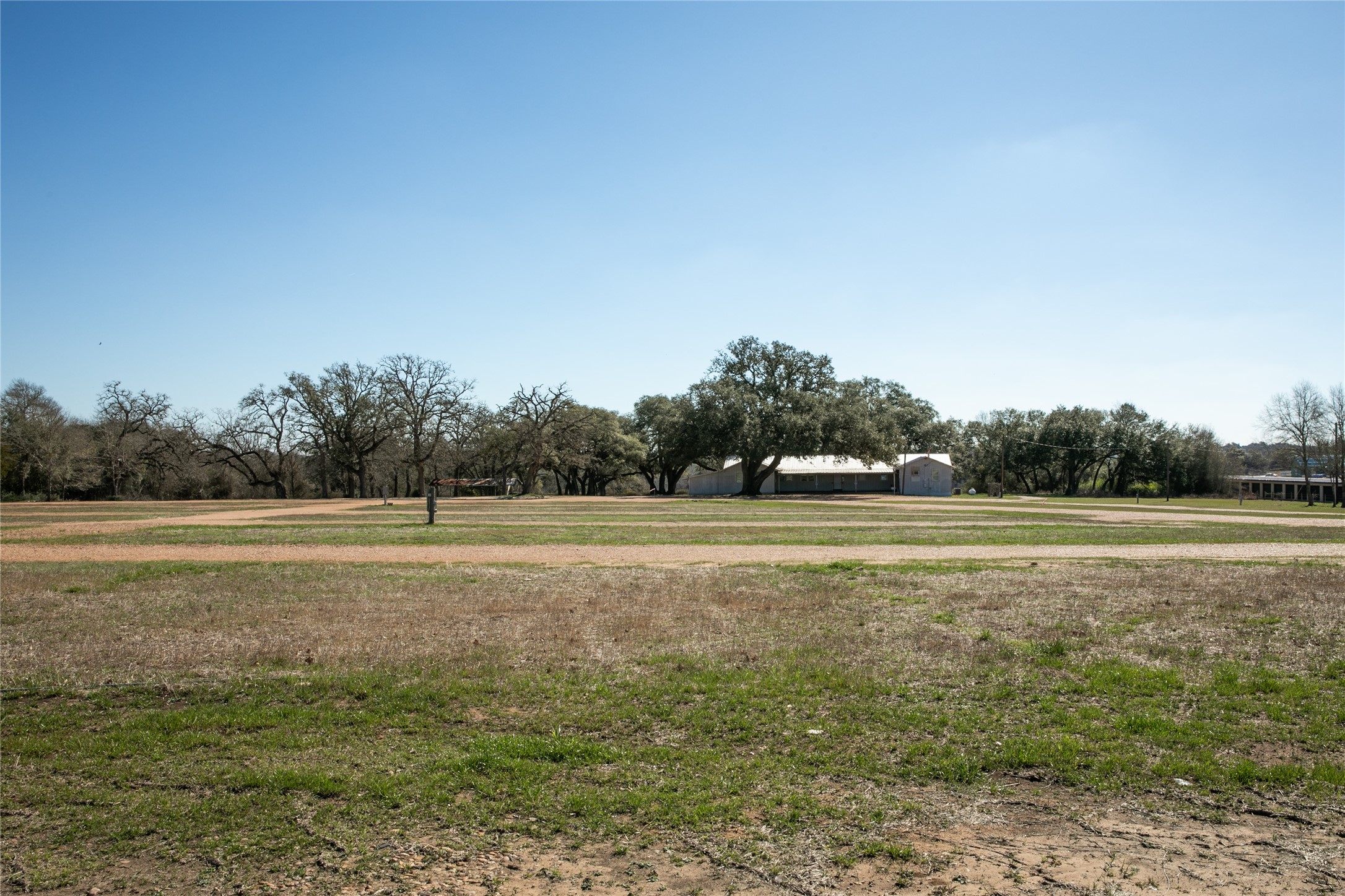 1503 Highway 237 Round Top, TX 78954 - Photo 21 of 25 a view of a green field with trees
