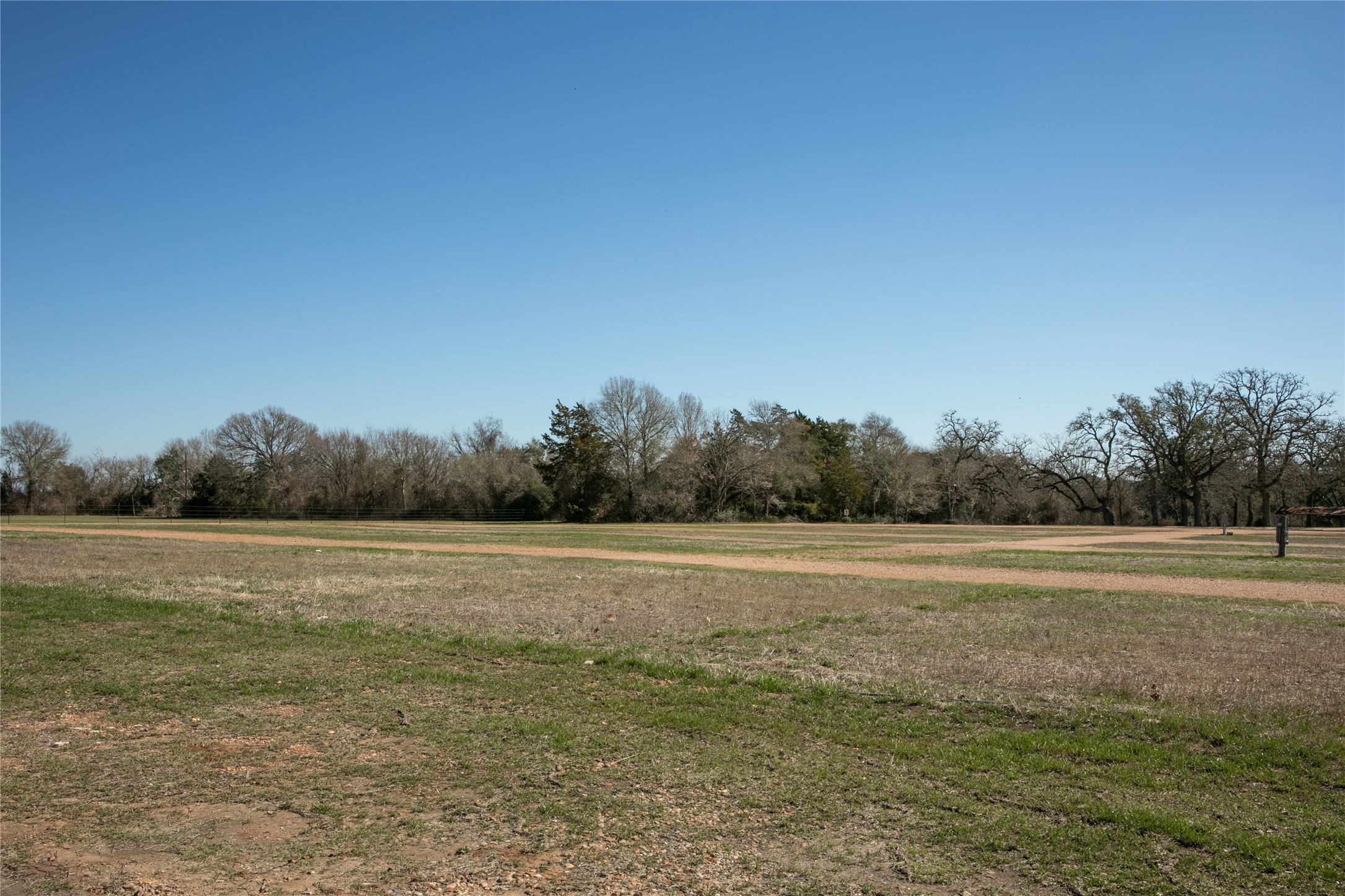 1503 Highway 237 Round Top, TX 78954 - Photo 22 of 25 a view of outdoor space and yard