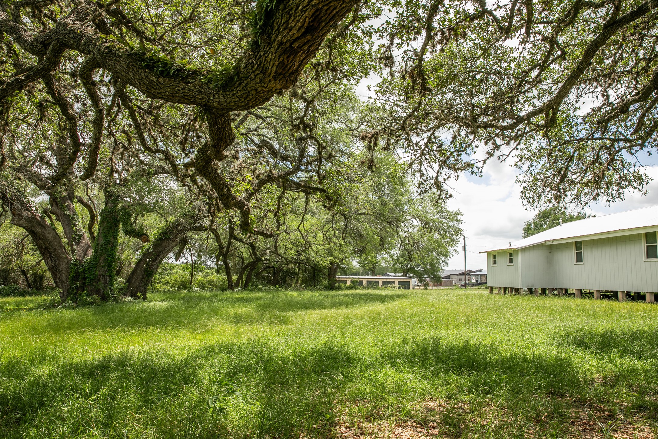1503 Highway 237 Round Top, TX 78954 - Photo 7 of 25 a backyard of a house with lots of plants and large trees