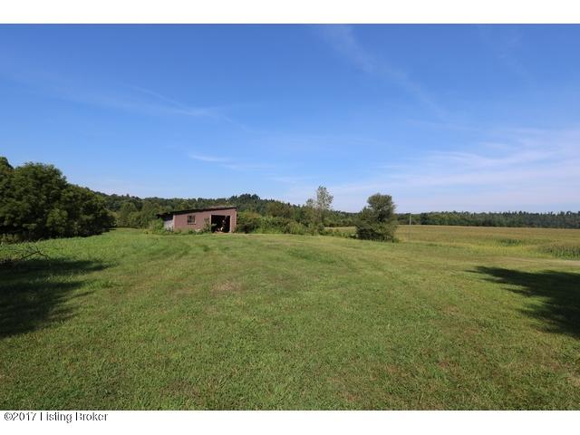 1709 Olaton Road Caneyville, KY 42721 - Photo 7 of 26 Olaton Rd20