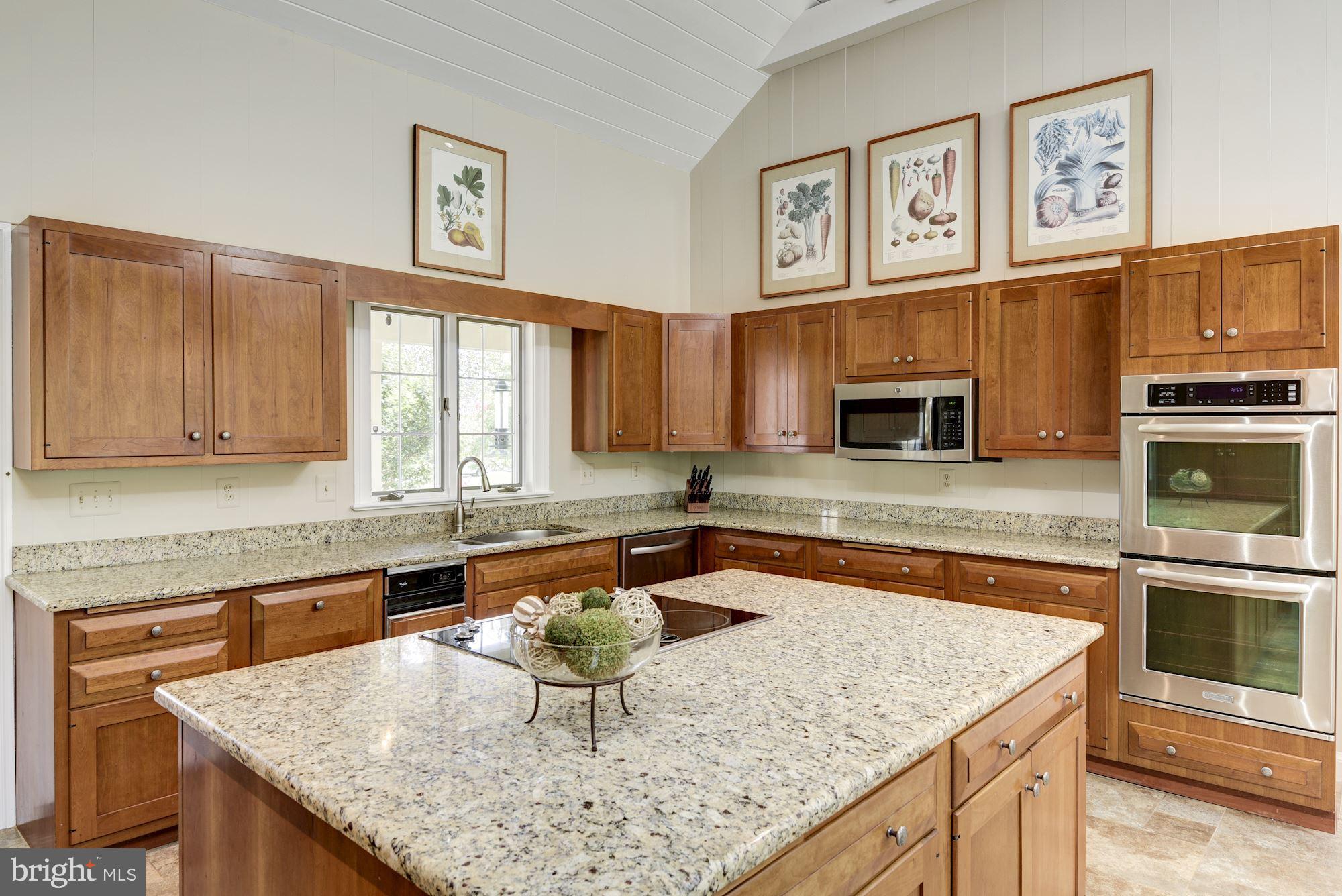 6 Beall Spring Court Potomac, MD 20854 - Photo 19 of 54 Double Ovens and Granite Countertops