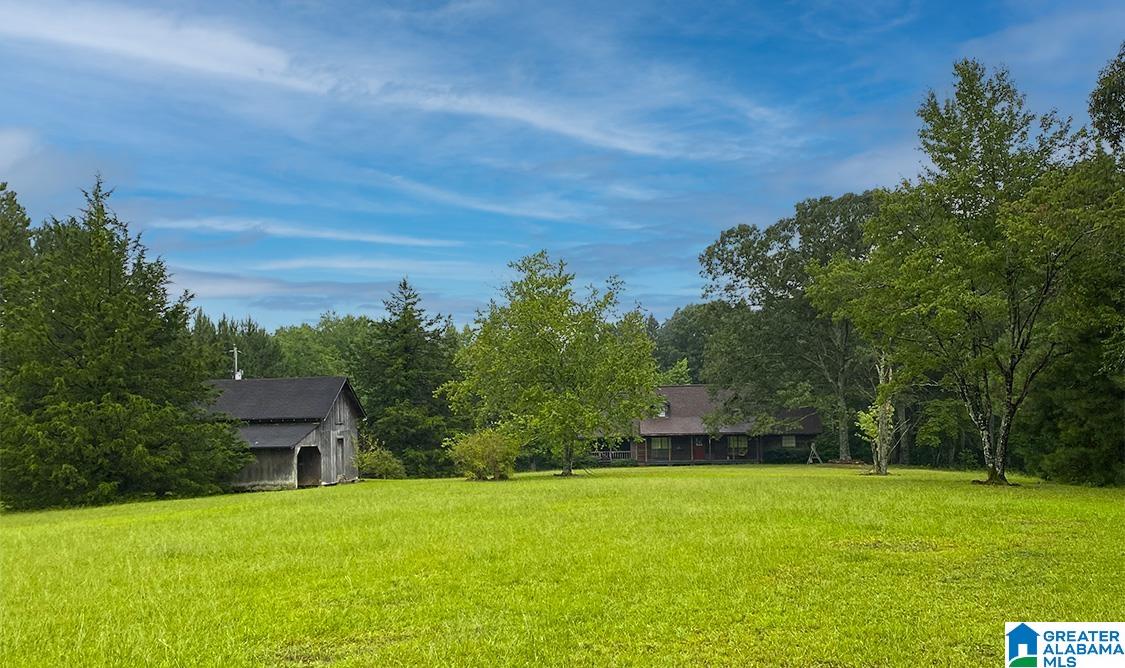 9650 Bluff Springs Road Cragford, AL 36255 - Photo 4 of 24