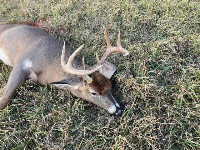 $373,700 | 7767 West Richie Road, Lincoln, MI 48742