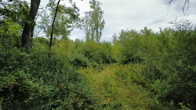 $373,700 | 7767 West Richie Road, Lincoln, MI 48742