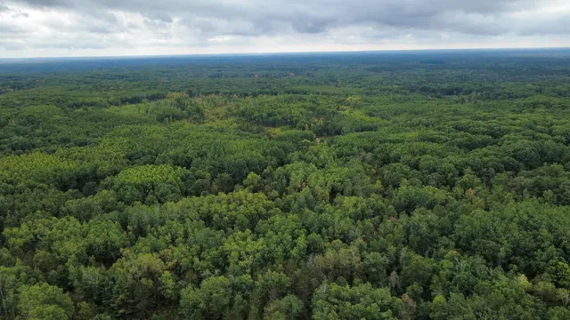 $373,700 | 7767 West Richie Road, Lincoln, MI 48742