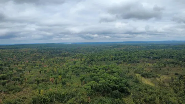 $373,700 | 7767 West Richie Road, Lincoln, MI 48742