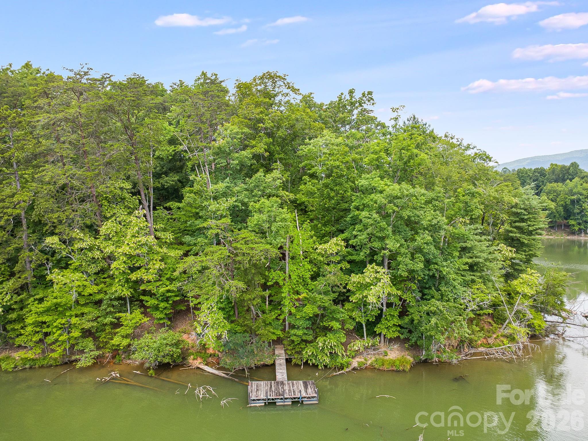 0 Canoe Drive, Unit 40 Mill Spring, NC 28756 - Photo 8 of 23