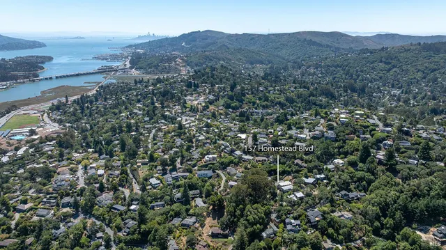 a view of a mountain in the distance in a field