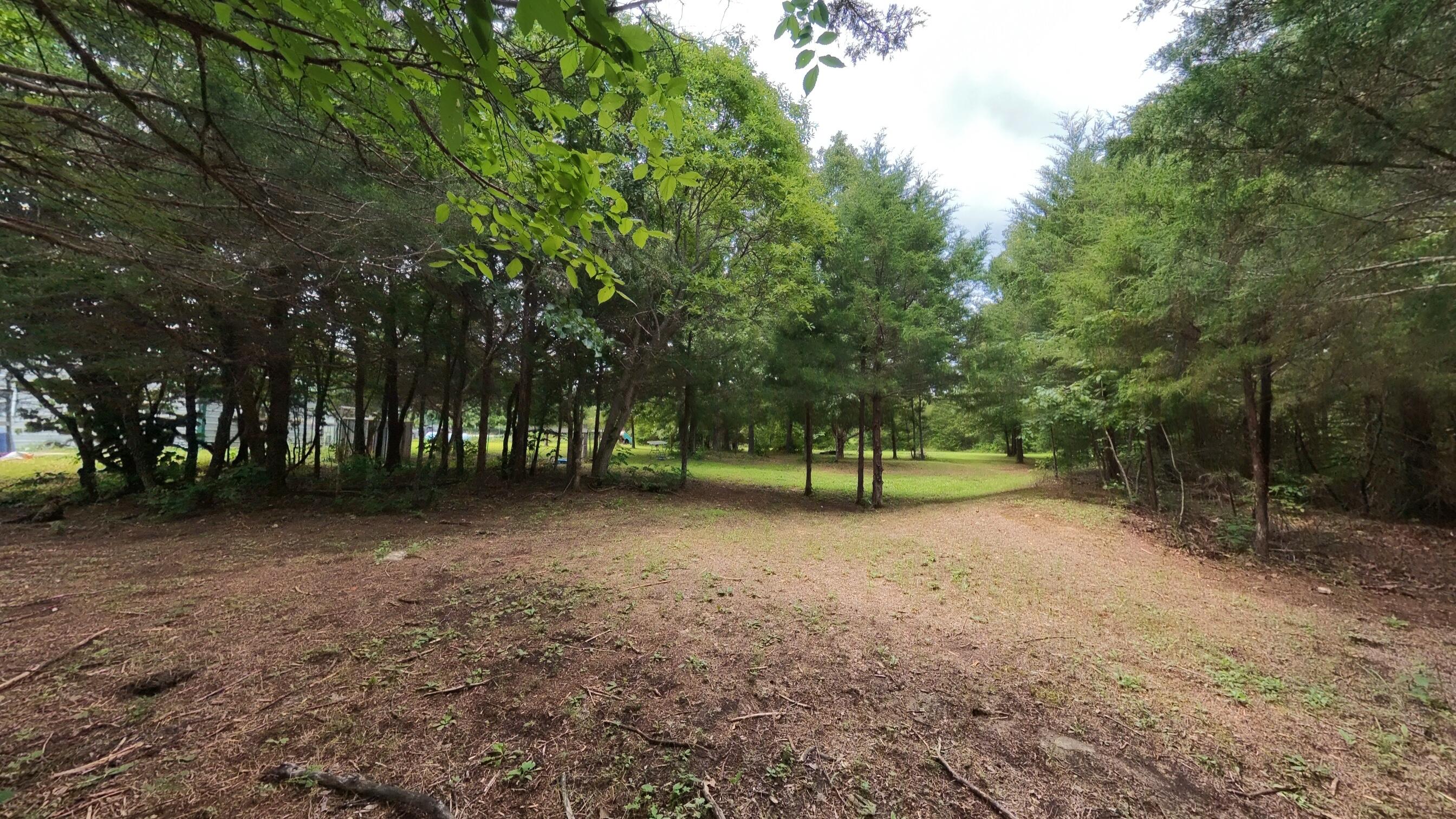 3261 North Camp Creek Road Mammoth Spring, AR 72554 - Photo 22 of 38 Home on a 12+ acre hobby farm028