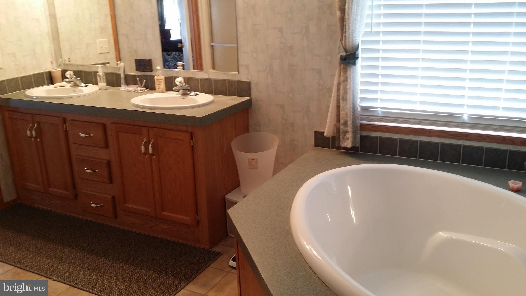 4041 Conowingo Road Darlington, MD 21034 - Photo 10 of 16 Bath (Master)