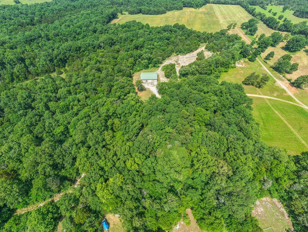 417 Haskins Chapel Road Lewisburg, TN 37091 - Photo 4 of 27 a close up of a plant in a garden
