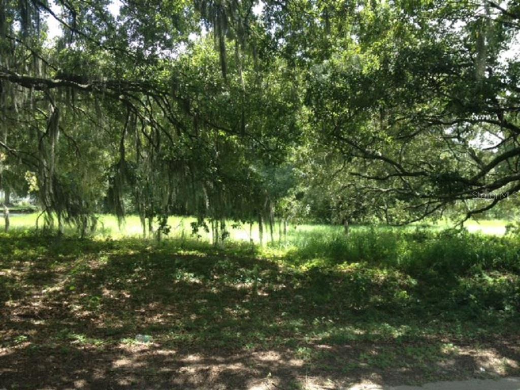 Nesmith Road Plant City, FL 33567 - Photo 1 of 1 Gallery Image 1