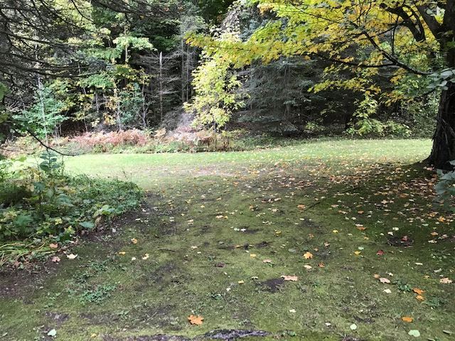 1501 North Setterbo Road Suttons Bay, MI 49682 - Photo 29 of 45 1854514-28.JPG