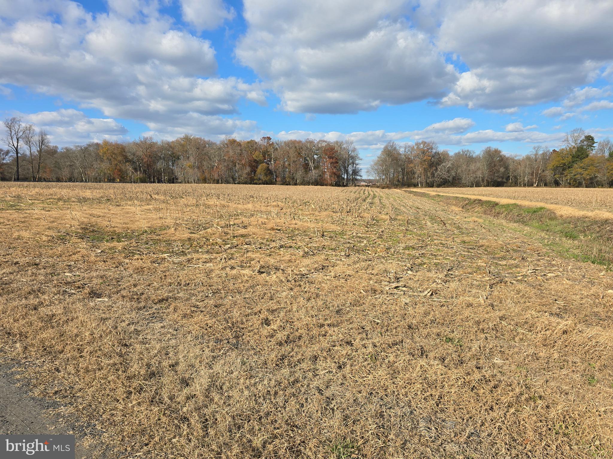 1 Poplar Neck, Unit ROAD Willards, MD 21874 - Photo 2 of 14 Southeast Corner Towards Northeast corner