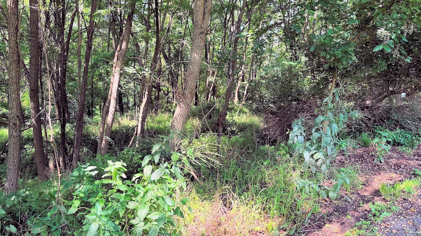 58 Redhawk Trail Baraboo, WI 53913 - Photo 2 of 28