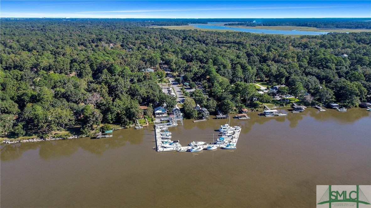 1 Winsford Road Savannah, GA 31419 - Photo 31 of 31 Marina