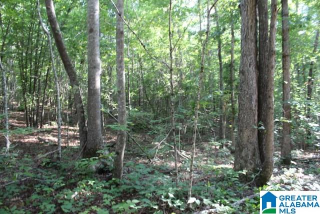 1 Benefield Gap Road Attalla, AL 35954 - Photo 34 of 50